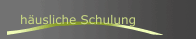 häusliche Schulung